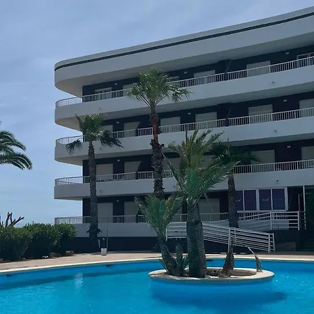 Palmera 2*