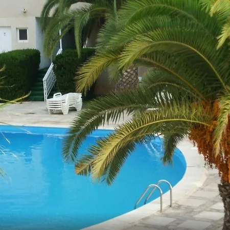 Palmera Pilar de la Horadada