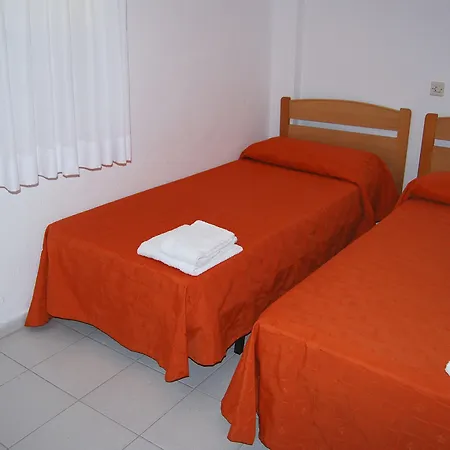 Palmera