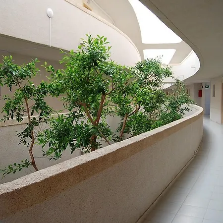 Aparthotel Palmera