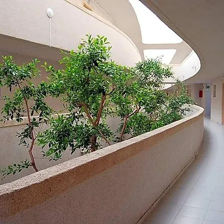 Апарт-отель Palmera