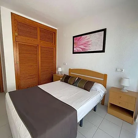 Palmera