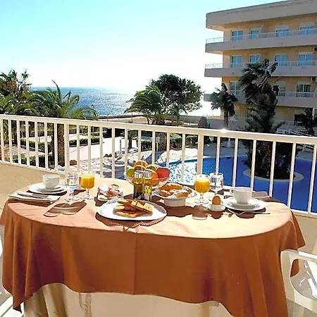 Palmera 3*