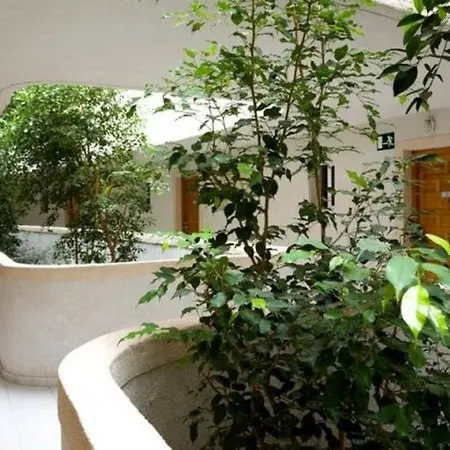 Aparthotel Palmera 2*
