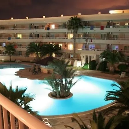 Palmera Pilar de la Horadada