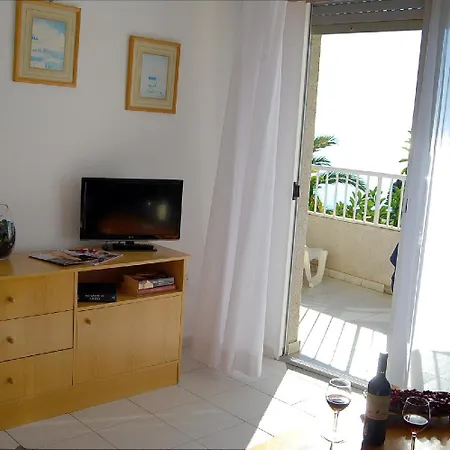 Palmera