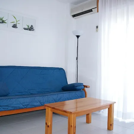Palmera 2*