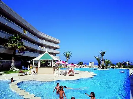 Palmera Pilar de la Horadada