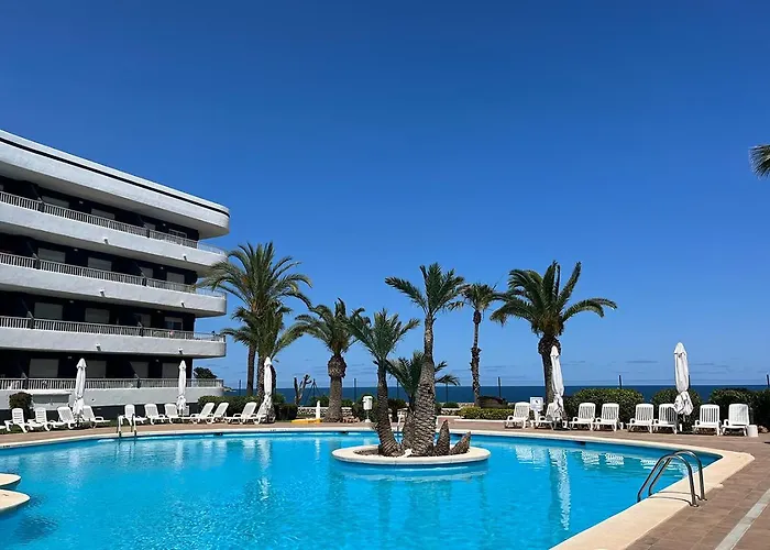 Palmera 3* 필라데라호라다다