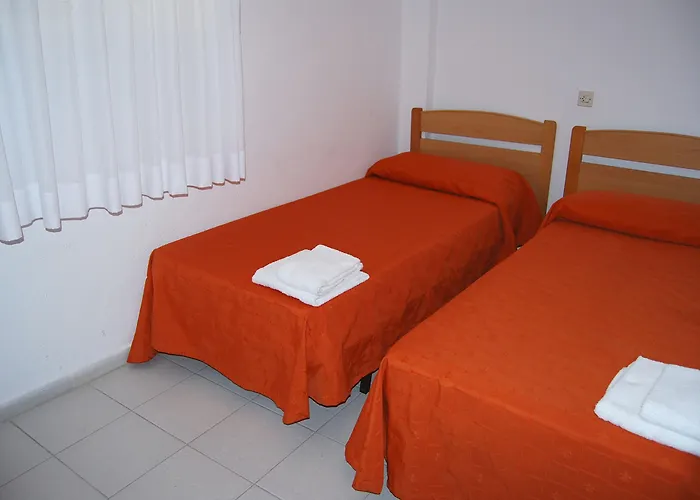 Palmera