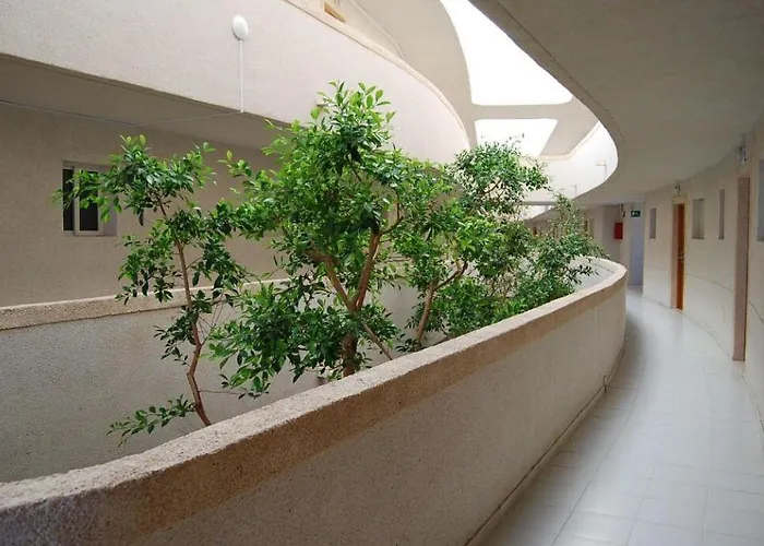 Aparthotel Palmera Pilar de la Horadada