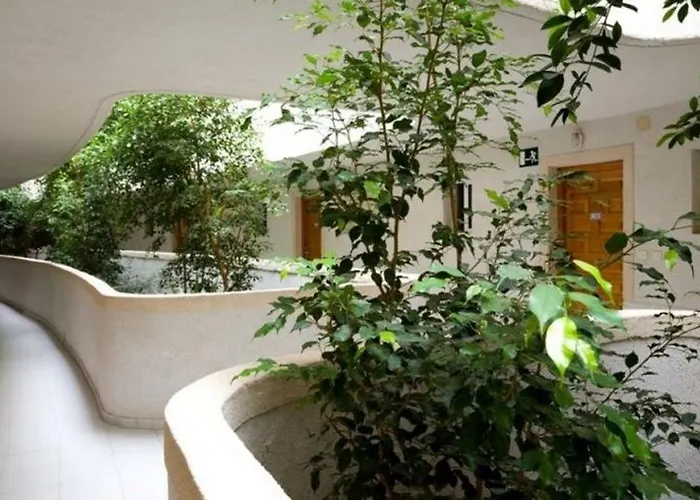 Apartmanhotel Palmera 3*