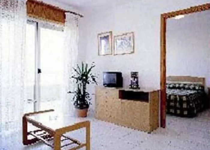Palmera Pilar de la Horadada